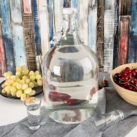 ORION Demižon 5 l klip uzávěr, sklo/kov_2 (1)