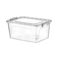 HOBBY LIFE Box with lid MULTI low 3 l, transparent