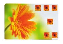 TORO Placemat FLOWERS 43.5 x 28.5 cm, plastic, decors mix