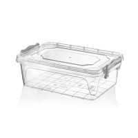HOBBY LIFE Box with lid MULTI low 0.6 l, transparent