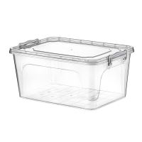 HOBBY LIFE Box with lid MULTI low 13 l, transparent