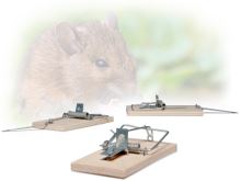 Mousetrap wood, plywood, 1 pc