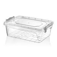 HOBBY LIFE Box with lid MULTI low 6 l, transparent