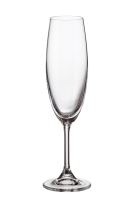 CRYSTALITE BOHEMIA SYLVIA champagne glass, champagne, 220 ml, 1 pc
