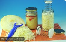 REPROPLAST Cabbage Compression Spring-Pickles