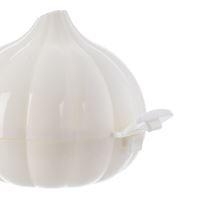 ORION Box na česnek, plast_5 (4)