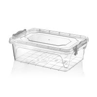 HOBBY LIFE Box with lid MULTI low 2 l, transparent