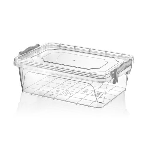 HOBBY LIFE Box s víkem MULTI nízký 2 l, transparentní