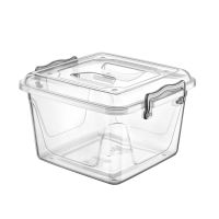 HOBBY LIFE Box with lid MULTI low 6 l, transparent