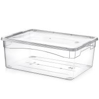 HOBBY LIFE Box with shoe lid low 10 l, transparent