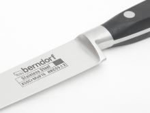BERNDORF SANDRIK Nůž univerzální PROFILINE 10 cm_2