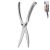 ORION Poultry shears, stainless steel