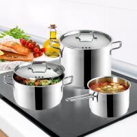 ORION Hrnec ANETT o 26 cm, 10,5 l, výška 20 cm, nerezová poklice_5 (4)