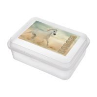 ORION Box svačina kůň 18 x 13 x v.7 cm, plast