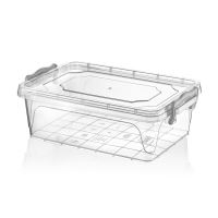 HOBBY LIFE Box with lid MULTI low 3.8 l, transparent